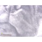 Kutya kutyusos párna