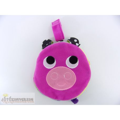 Sassy háziállatos babakönyv