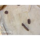 Berkshire Life kutyás belebújós takaró