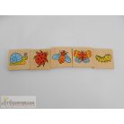 Fa oktató tanulókártya csomag