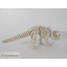 Triceratops dinoszaurusz csontváz figura