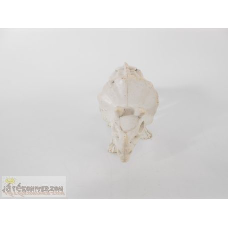 Triceratops dinoszaurusz csontváz figura