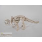 Triceratops dinoszaurusz csontváz figura